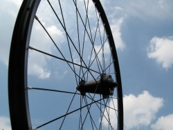 Full-carbon MTB rims by M5 now available!